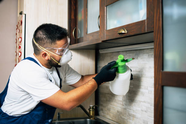 Best Pest Removal Services  in Elmsford, NY