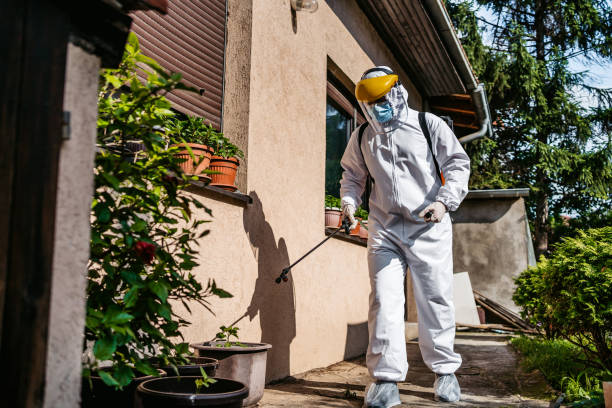 Best Wasp Removal Services  in Elmsford, NY