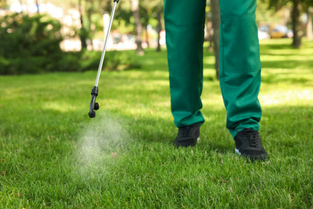 Best Cockroach Control Services  in Elmsford, NY