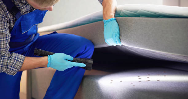 Best Local Pest Control Services  in Elmsford, NY