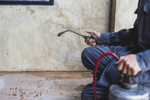 Best Pest Control Near Me  in Elmsford, NY